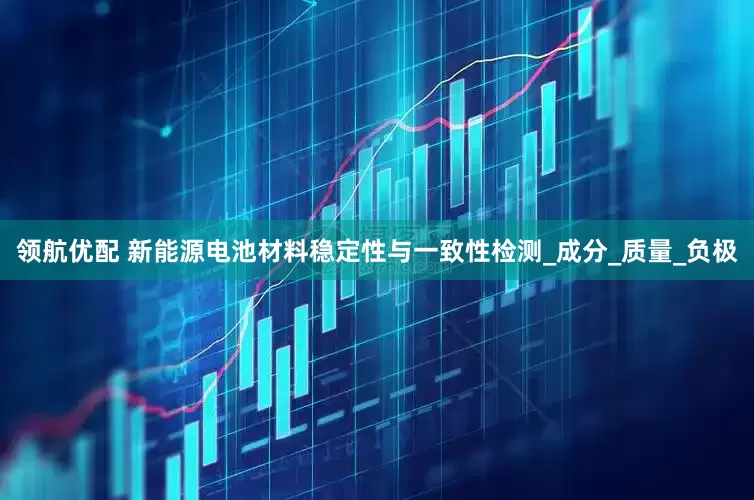 领航优配 新能源电池材料稳定性与一致性检测_成分_质量_负极