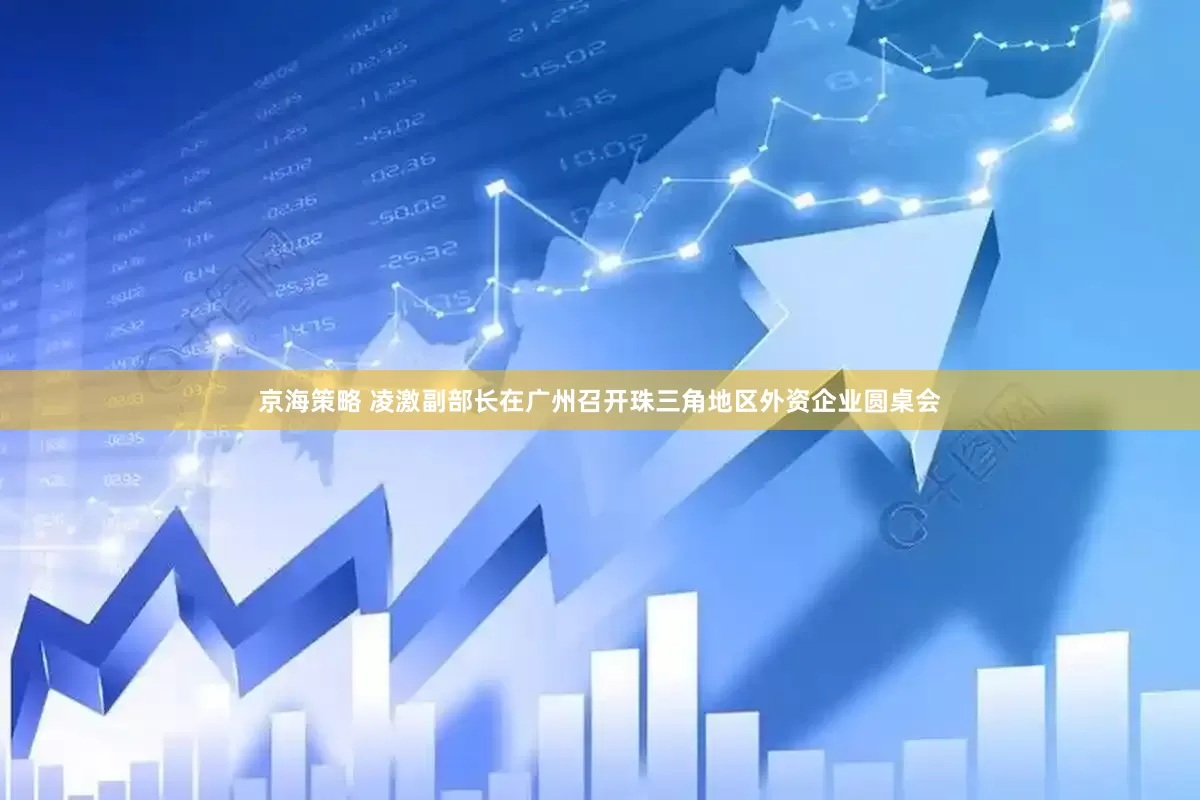 京海策略 凌激副部长在广州召开珠三角地区外资企业圆桌会