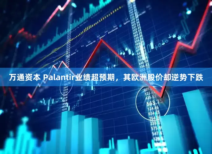 万通资本 Palantir业绩超预期，其欧洲股价却逆势下跌