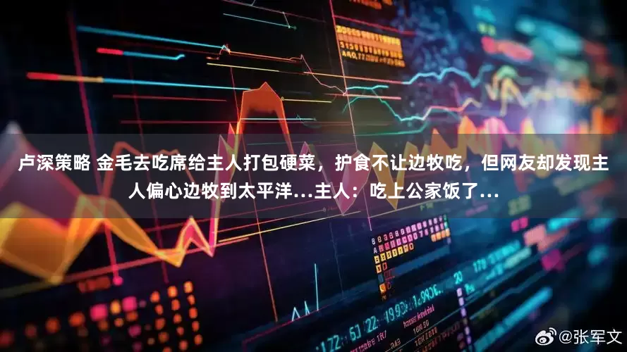 卢深策略 金毛去吃席给主人打包硬菜，护食不让边牧吃，但网友却发现主人偏心边牧到太平洋…主人：吃上公家饭了…